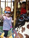 FWZoo_Carousel-Jess (4)